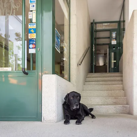 Madrid بونتيفيذرا